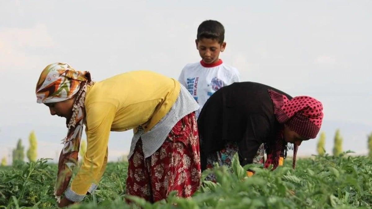 Mevsimlik Tarım İşçilerinin Yaşadığı Sorunlara Çözüm Yolları Belirlendi!