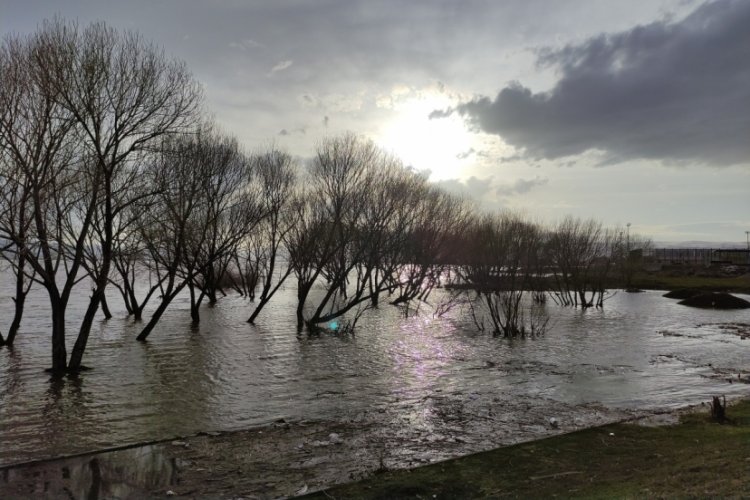 Ardahan’da 3. defa taşan Kura Irmağı kıyıları aratmadı