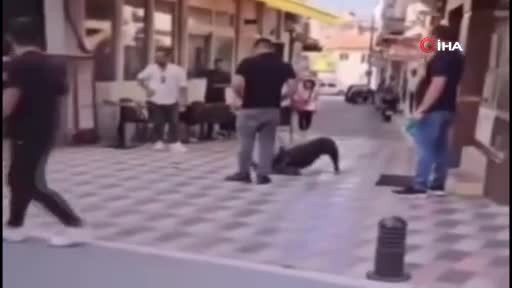 İzmir'de yasaklı ırk köpek, kediyi nefessiz bıraktı!