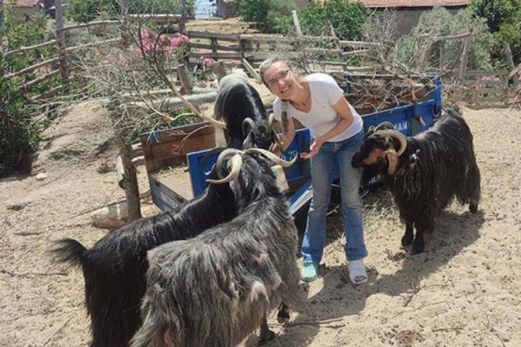 Muğla’da tilki yakalayıp, tüfekle öldüren komşusunu ihbar etti