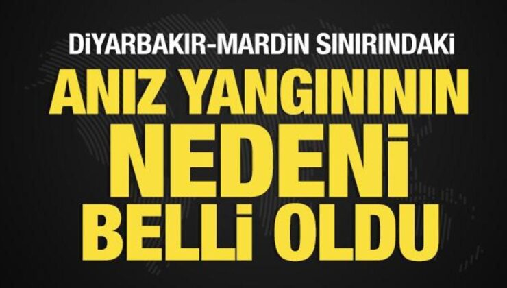 15 Kişinin Öldüğü Anız Yangınında Büyük Çelişki! Çarpıcı Uydu Görüntüleri Paylaşıldı