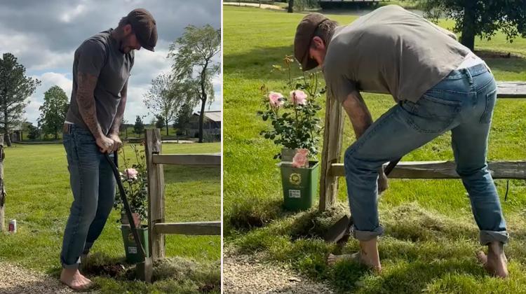 25 Yıllık Kocasına Övgüler Yağdırdı… Artık Bahçede Pembe Gülleri Var!