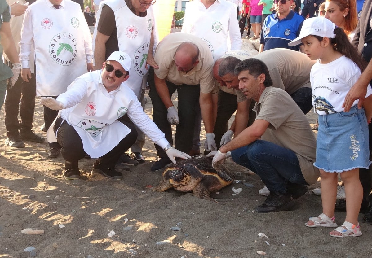 50 yasindaki caretta caretta 2 yil sonra denizle bulustu 0 6s7Fh1DR