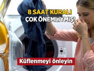 8 Saatten Fazla Kalınca Küf Sarıyor! Islak Çamaşırlara Ekleyin, İşi Sağlama Alın