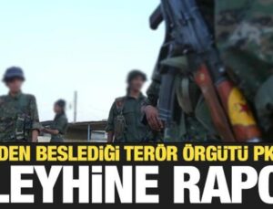 ABD’den Terör Örgütü Pkk’nın Aleyhine Rapor