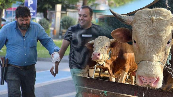 Acemi Kasaplar Kurban Yerine Kendini Kesti