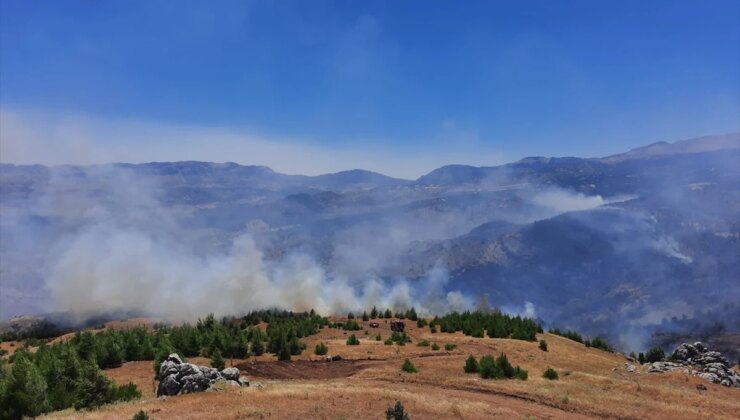 Adıyaman’ın Gerger İlçesindeki Örtü Yangını Söndürüldü