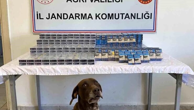 Ağrı’da Bin 294 Paket Kaçak Sigara Ele Geçirildi