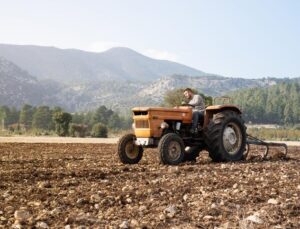 Anız Nedir? Anız Yangını Ne Demek ve Ziyanları Nelerdir?