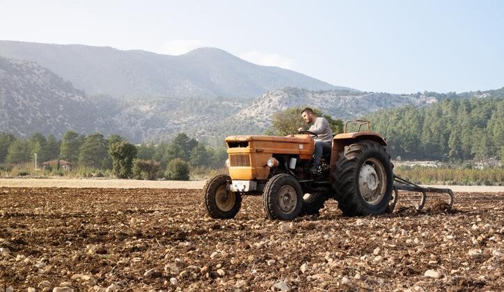 Anız Nedir? Anız Yangını Ne Demek ve Ziyanları Nelerdir?