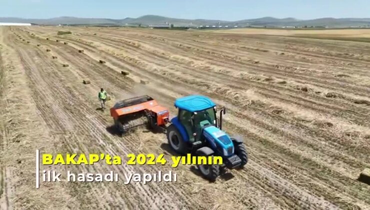 Ankara’da Bakap Tarım Yerleşkesi’nde İlk Hasat Yapıldı