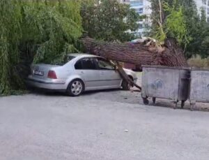 Ankara’da Kuvvetli Rüzgar; Ağaç Devrildi, 4 Araç Hasar Gördü