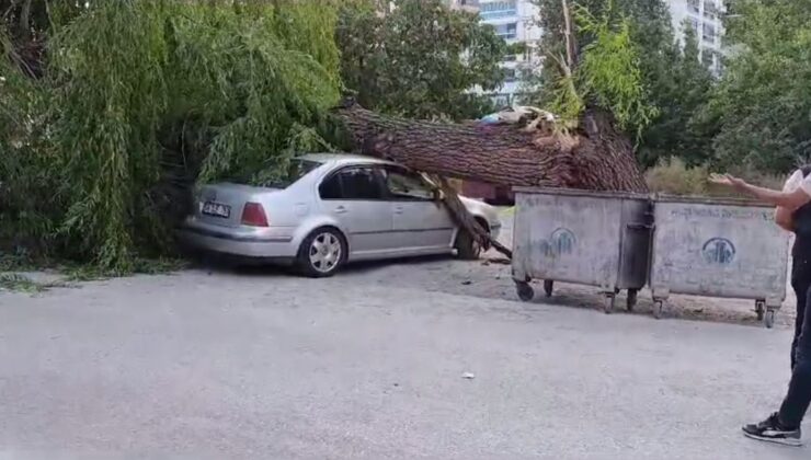 Ankara’da Kuvvetli Rüzgar; Ağaç Devrildi, 4 Araç Hasar Gördü