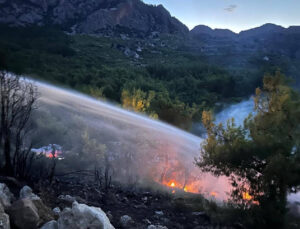 Antalya’da Çıkan Orman Yangını Söndürüldü