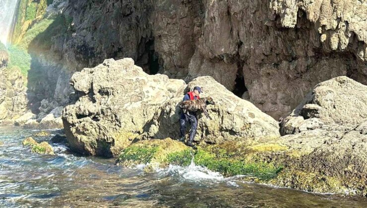 Antalya’da Düden Şelalesi’nden Denize Düşen Köpek Kıyı Güvenlik Tarafından Kurtarıldı