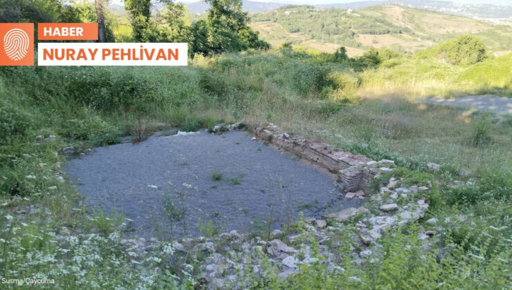 Arkeolog Selahattin Aydın: Zeugma’nın Gibisi Çaycuma Mozaikleri Yok Olma Tehdidi Altında