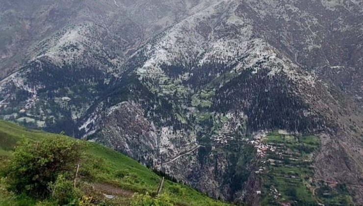 Artvin’de Dolu Yağışı