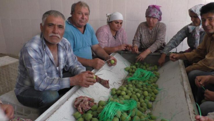 Aydın İncirinde ’İlekleme’ Aralıksız Sürüyor! Fiyatı 100 TL’ye Kadar Düştü