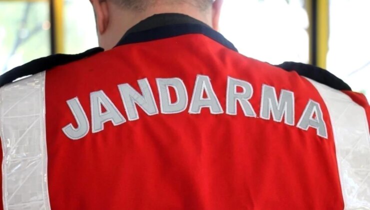 Aydın’da Hırsızlık Yapan Şahıs Jandarma Tarafından Yakalandı