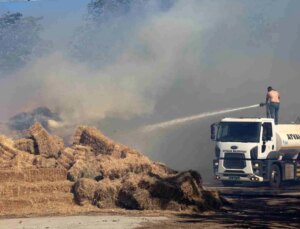 Ayvalık’ta Çöp Döküm Alanında Çıkan Yangın Otluk ve Zeytinlik Toprağa Sıçradı