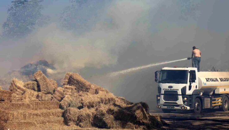 Ayvalık’ta Çöp Döküm Alanında Çıkan Yangın Otluk ve Zeytinlik Toprağa Sıçradı