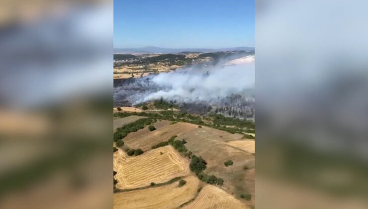 Balıkesir’de Anız Yangını Ormana Sıçradı