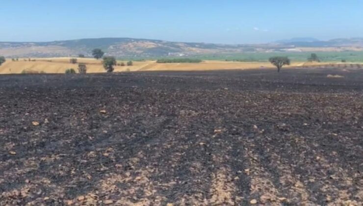 Balıkesir’de Tarla Yangını: 35 Ton Buğday Kül Oldu