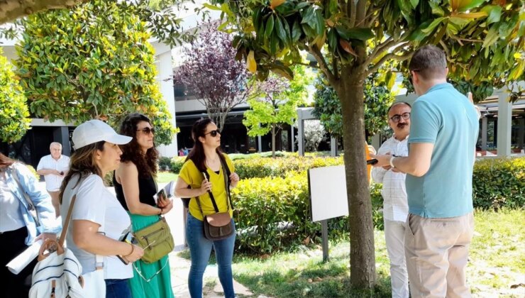 Barü, Bartın’da Yeşil Çatı Uygulamalarını İnceledi