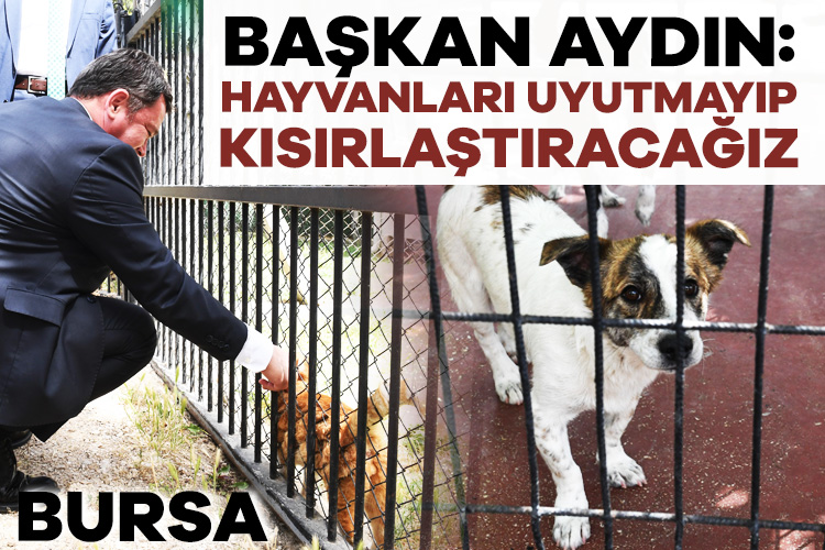 baskan aydin hayvanlari uyutmayip kisirlastiracagiz 0 quacinM9