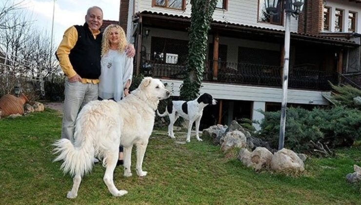 Bekir Coşkun’un Eşi Andree Hanım’dan Sokak Köpekleri İçin İhtarlar