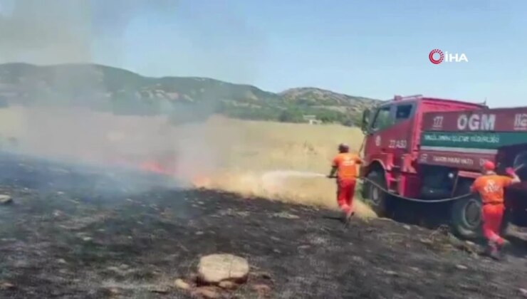 Bingöl’de 100 Dönümlük Tarım Alanı Yandı