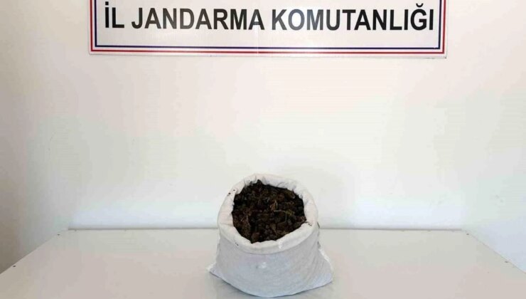 Bingöl’de Uyuşturucu Operasyonu: 2 Bin 698 Kök Kenevir ve 1 Kilo 450 Gram Esrar Ele Geçirildi