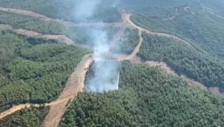 Bir Yangın da İzmir’de Başladı: Ormanlık Alan Alevler İçinde!