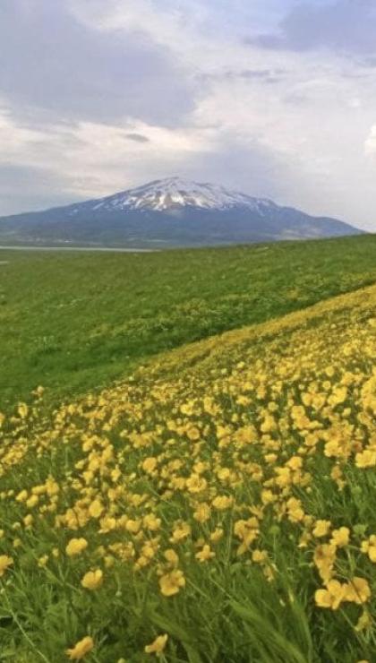 bitlis yesile burundu sutey yaylasi kendine hayran birakti 1 sfe4EhEp