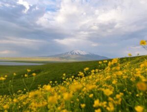 Bitlis Yeşile Büründü: Sütey Yaylası Kendine Hayran Bıraktı