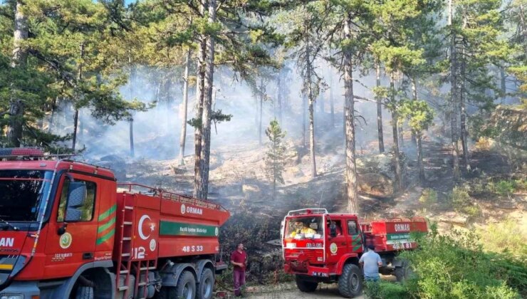 Bozdoğan Kaymakamlığı’ndan Orman Yangınlarına Karşı Uyarı