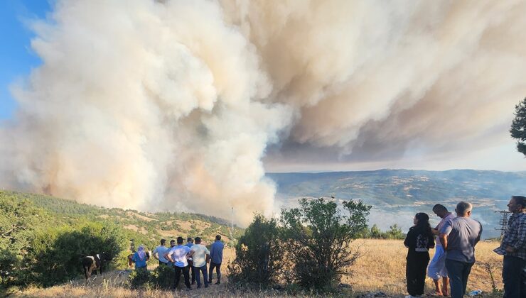 Bursa-Balıkesir İl Sınırında Orman Yangını