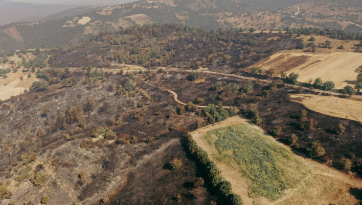 Bursa-Balıkesir Sınırında Orman Yangını: Hasar Drone ile Görüntülendi