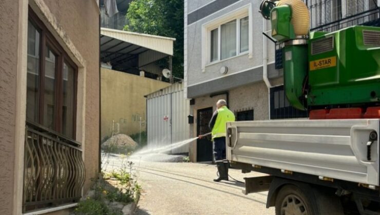 Bursa Büyükşehir Belediyesi’nden Pirelerle Tam Mücadele!