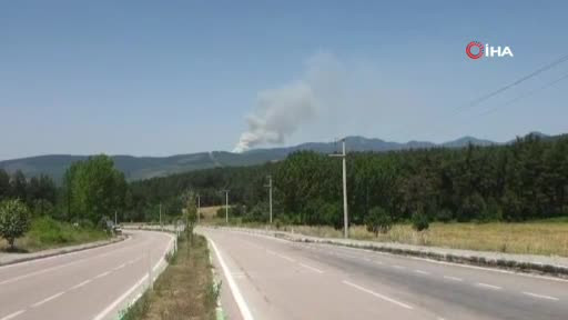 Bursa Orhaneli'nde yangın!