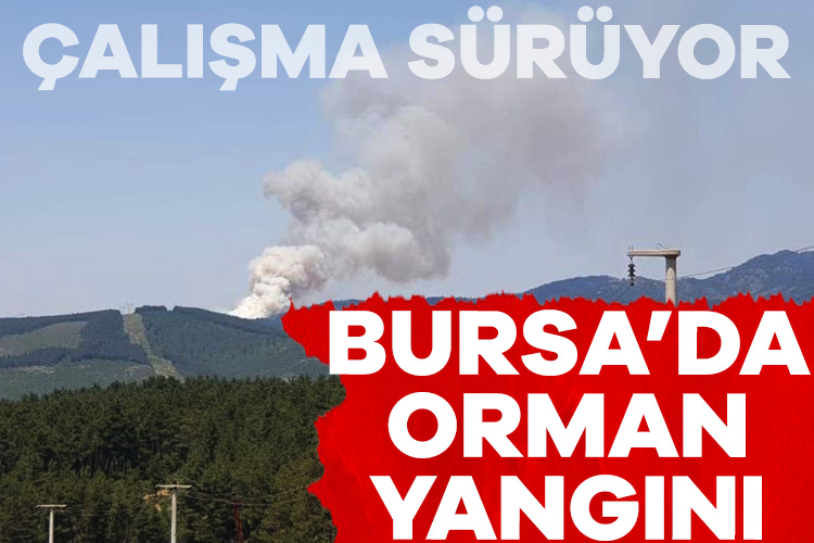 Bursa Orhaneli’nde Orman Yangını!