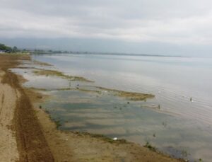 Bursa Orhangazi Halkı Çağdaş Plaj ve Yeni Kıyı Projesi İstiyor!