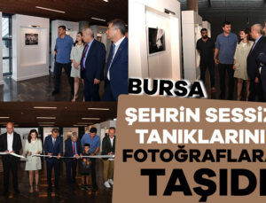 Bursa Osmangazi’nin Ödüllü Fotoğrafçısından Sokak Hayvanları Standı