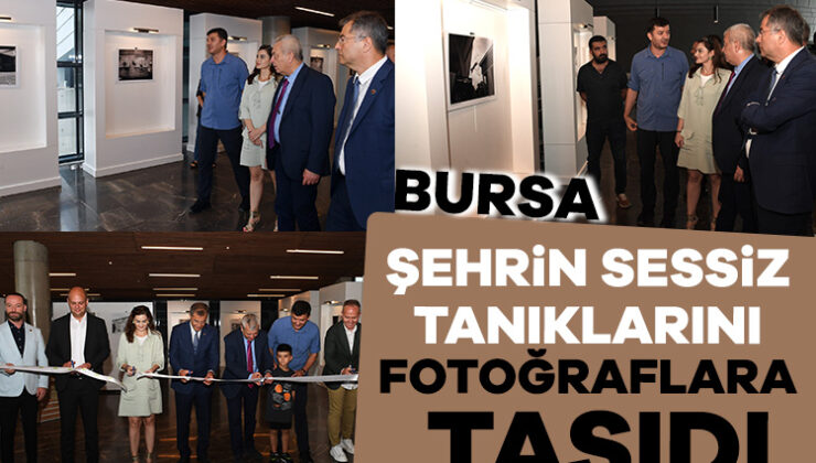 Bursa Osmangazi’nin Ödüllü Fotoğrafçısından Sokak Hayvanları Standı