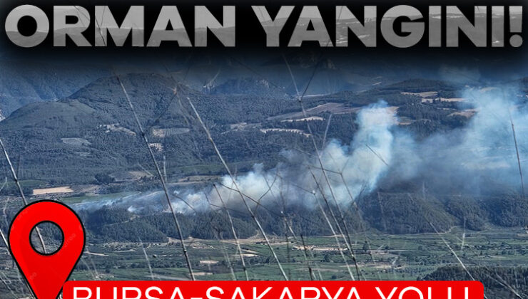 Bursa-Sakarya Yolu Üstünde Ormanlık Alanda Yangın!