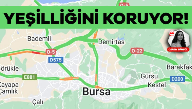 Bursa Yeşilliğini Koruyor!