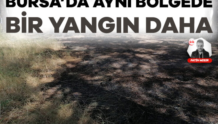 Bursa’da Aynı Bölgede Bir Yangın Daha