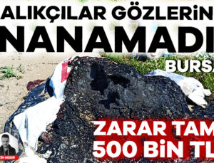 Bursa’da Balıkçıların Ağlarını Yaktılar! Zarar Tam 500 Bin Tl