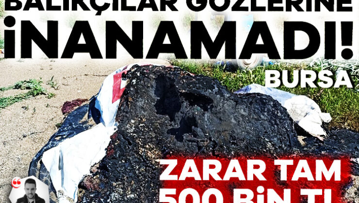 Bursa’da Balıkçıların Ağlarını Yaktılar! Zarar Tam 500 Bin Tl