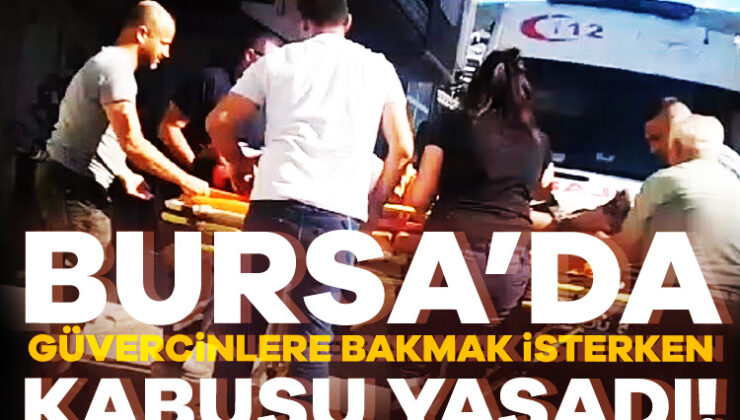 Bursa’da Güvercinlere Bakmak İçin Çıktığı Çatıdan Düştü